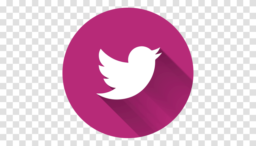 Social Twitter Icon, Logo, Bird, Plant Transparent Png