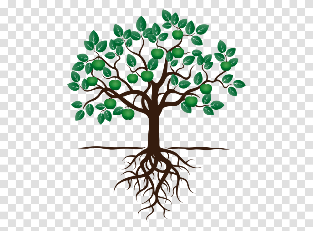 Social Work Opportunities Fruit Tree With Roots, Plant, Chandelier, Lamp Transparent Png