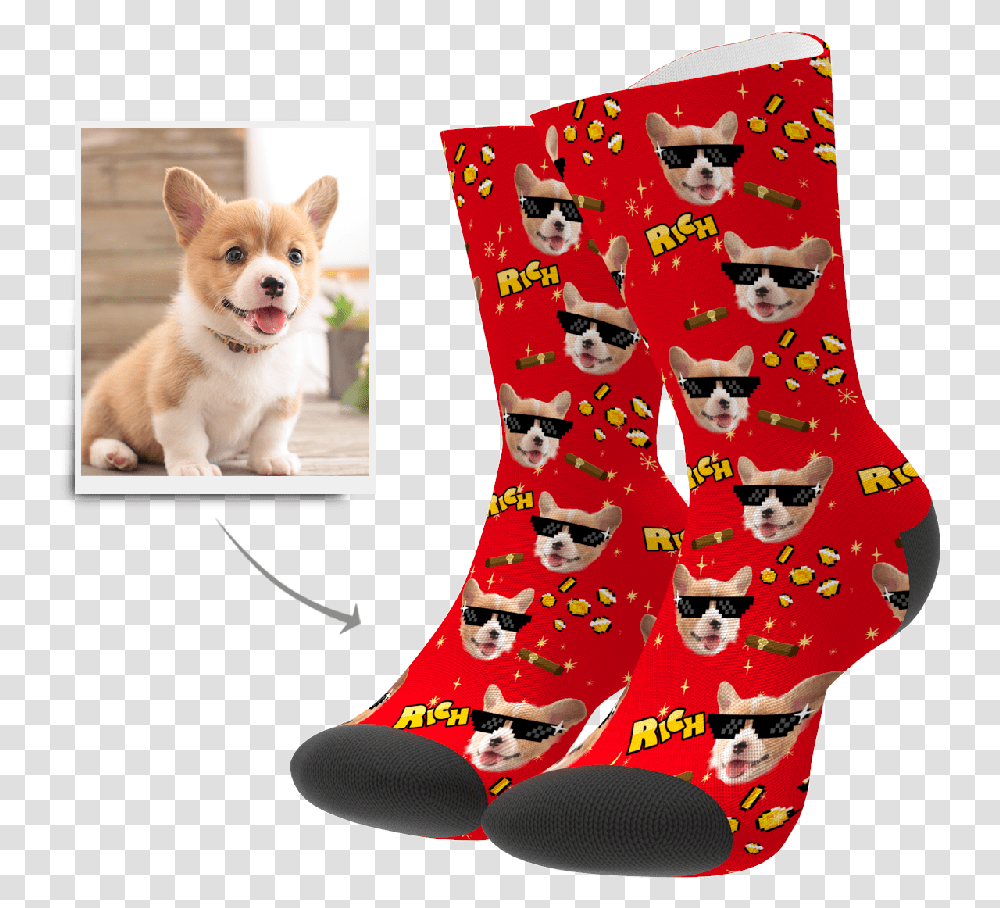 Sock, Stocking, Dog, Pet, Canine Transparent Png