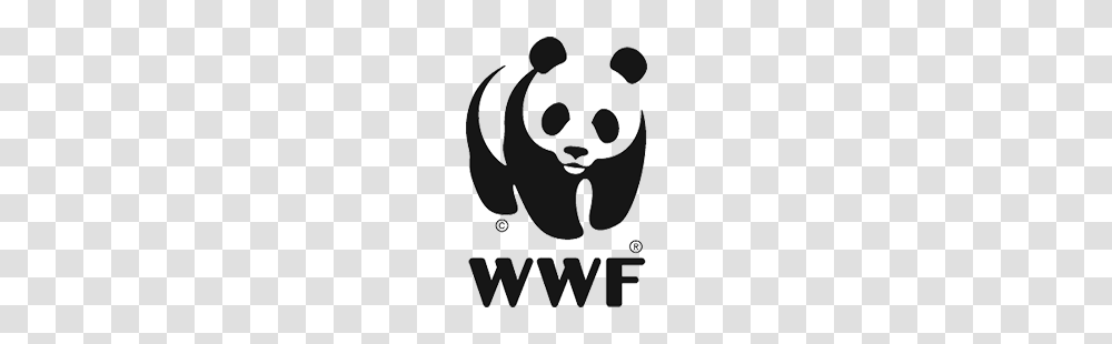 Sofidel And Wwf Partnership Goals And Aims Sofidel, Head, Leisure Activities, Lute Transparent Png