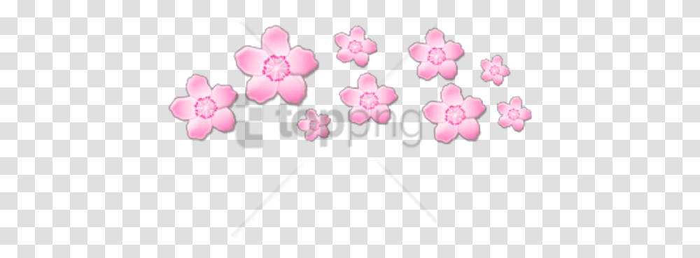 Soft Aesthetic Image Imagenes Sin Fondo, Plant, Flower, Blossom, Cherry Blossom Transparent Png