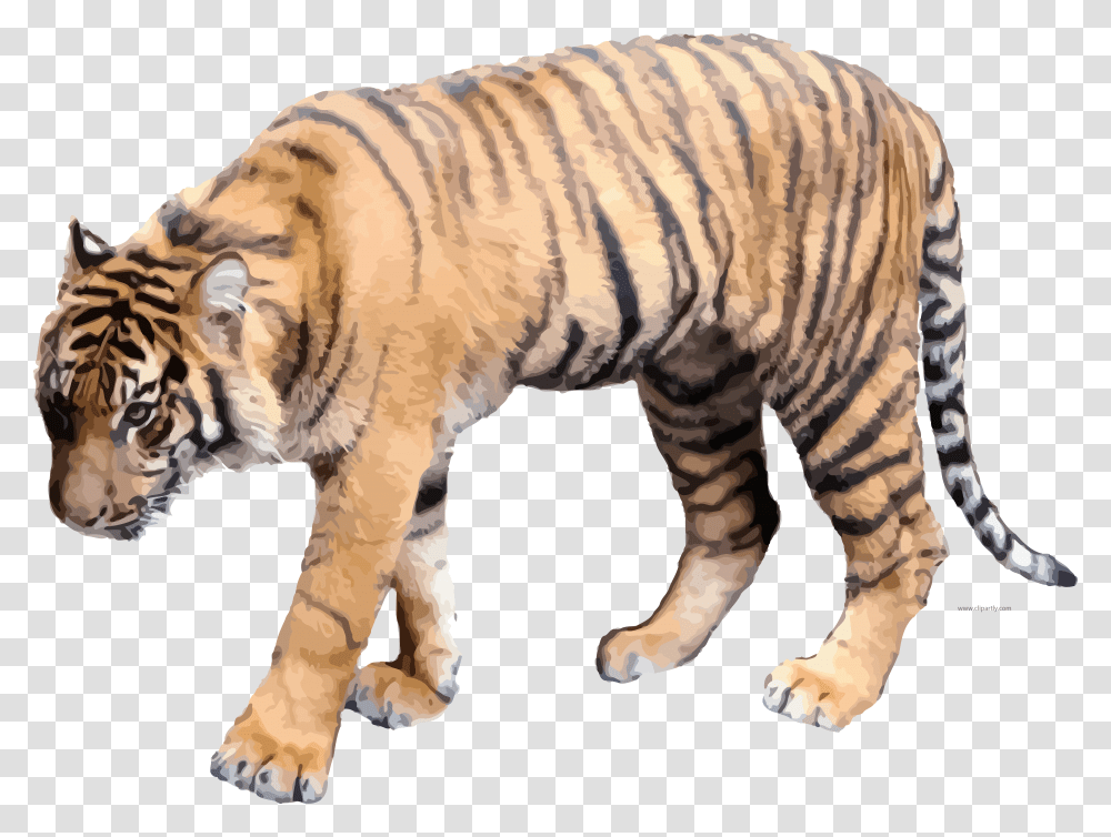 Soft Color Realistic Tigger Clipart Picture Download Clip Art Realistic Tiger, Mammal, Animal, Wildlife, Zebra Transparent Png