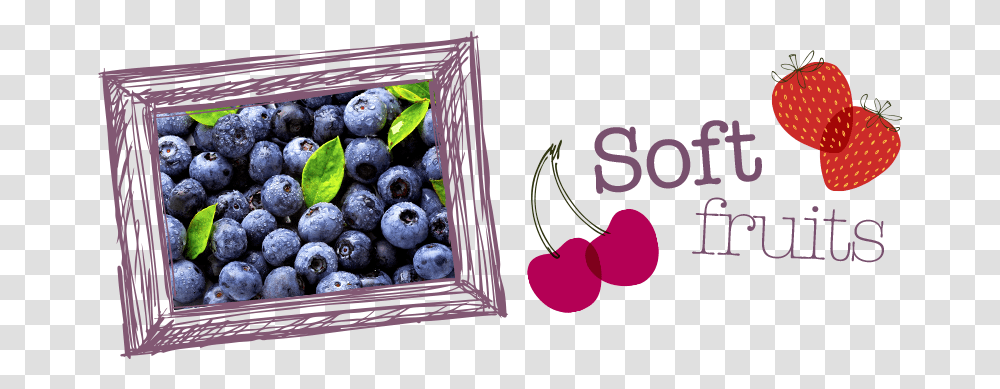 Soft Fruits Bilberry, Plant, Blueberry, Food, Cherry Transparent Png
