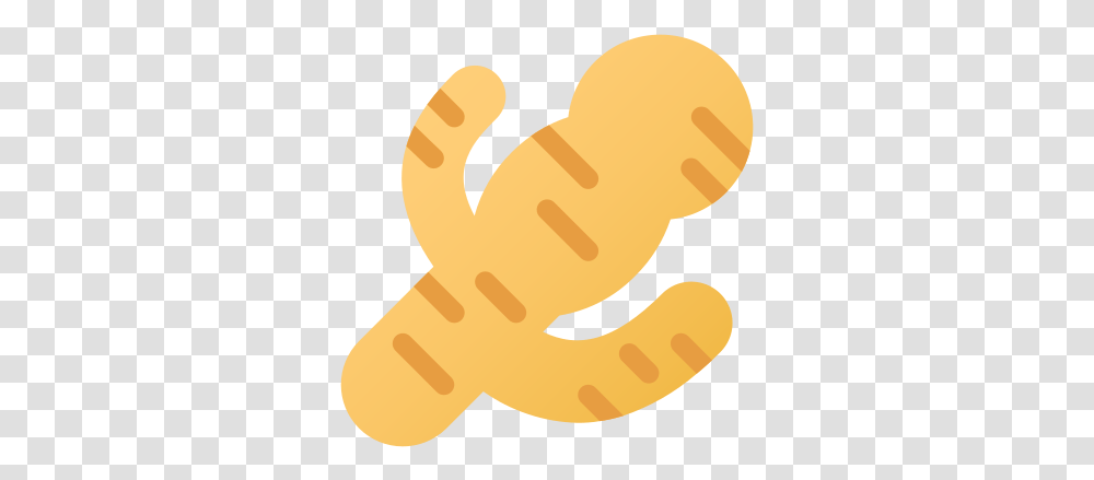 Soft Ginger Icon, Bread, Food, Sweets, Cracker Transparent Png