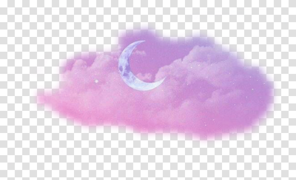 Soft Purple Aesthetic Moon, Outdoors, Nature, Sea Life, Animal Transparent Png