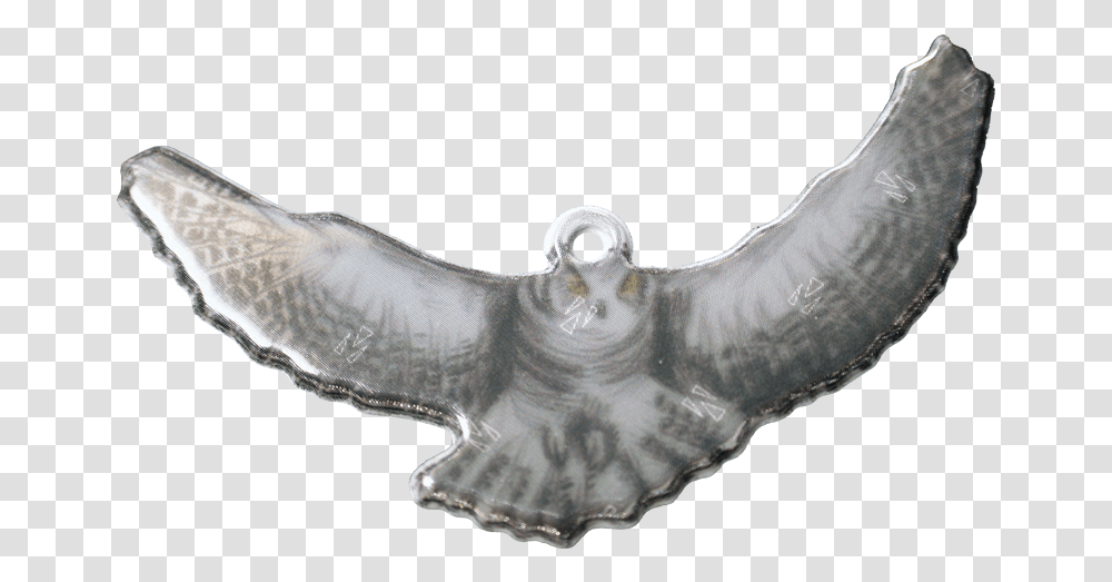 Soft Reflector Pendant Condor, Bird, Animal, Sea Life, Pattern Transparent Png