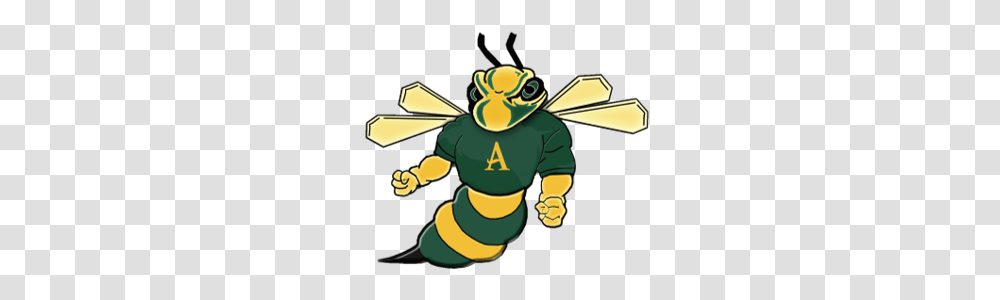 Softball Home, Animal, Wasp, Bee, Insect Transparent Png