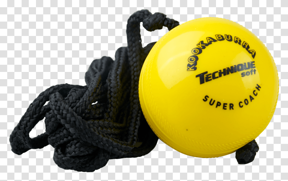 Softball Soft Ball Medicine Ball, Snake, Reptile, Animal, Balloon Transparent Png