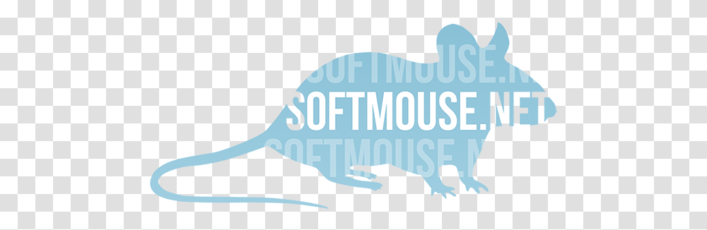 Softmousenet Conflict Confidence, Mammal, Animal, Sea Life, Outdoors Transparent Png