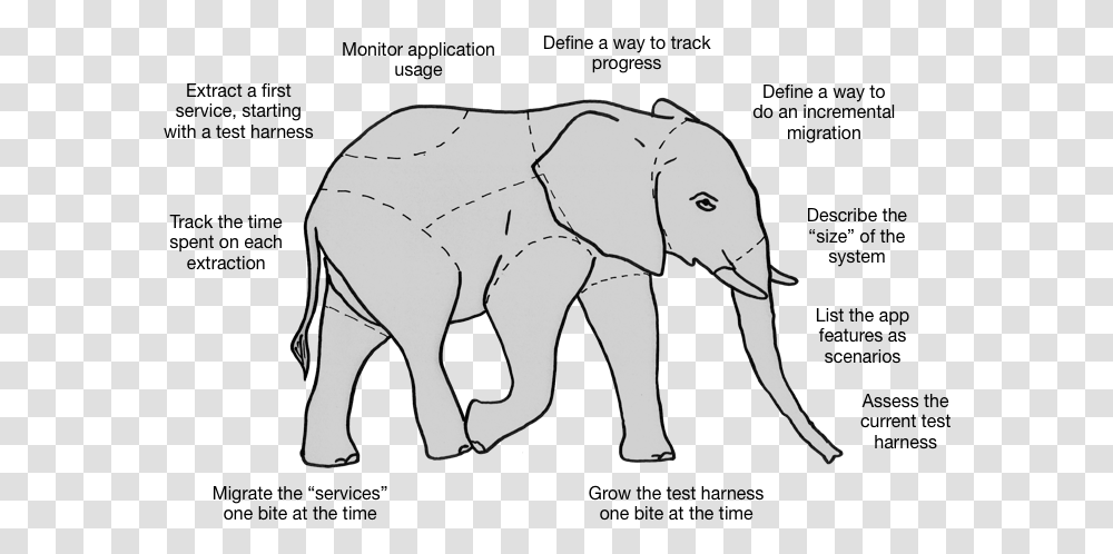 Software System Evolution Indian Elephant, Mammal, Animal, Wildlife Transparent Png
