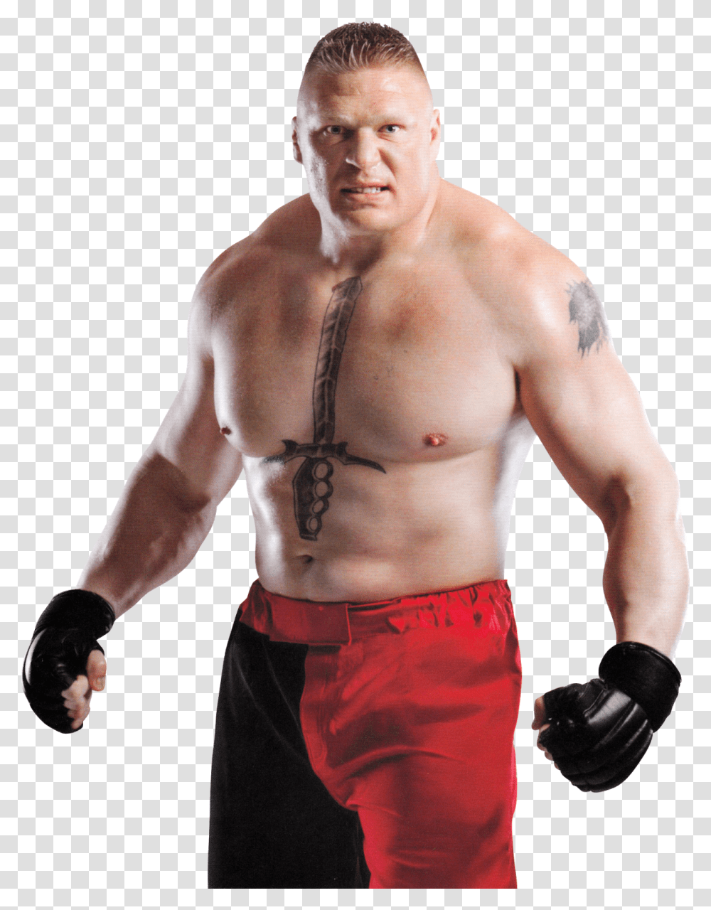 Sohodesign Brock Lesnar, Person, Human, Back, Sport Transparent Png