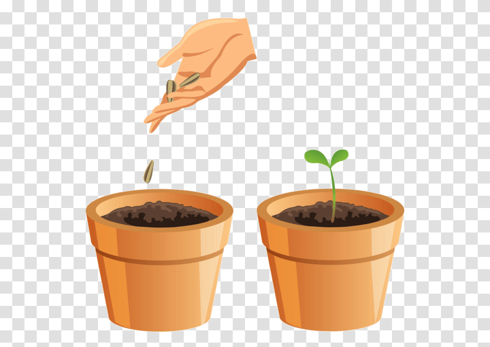 Soil Budding Grass Flower Pot Image And For Pot With Soil, Plant, Bucket, Leaf, Sprout Transparent Png