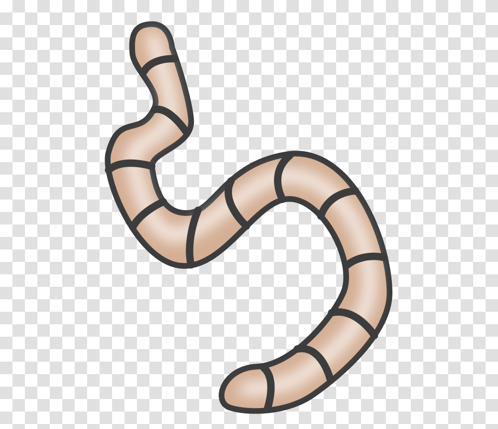 Soil Clipart, Animal, Invertebrate, Worm, Stomach Transparent Png