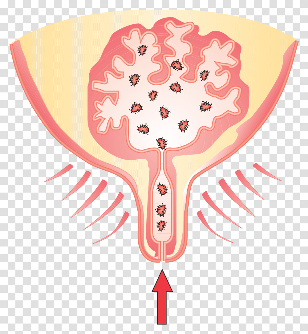 Soil Clipart Mastitis In Cow Cartoon, Heart, Label, Skeleton Transparent Png