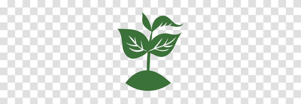Soil Clipart Need Plant, Leaf, Green, Seed Transparent Png