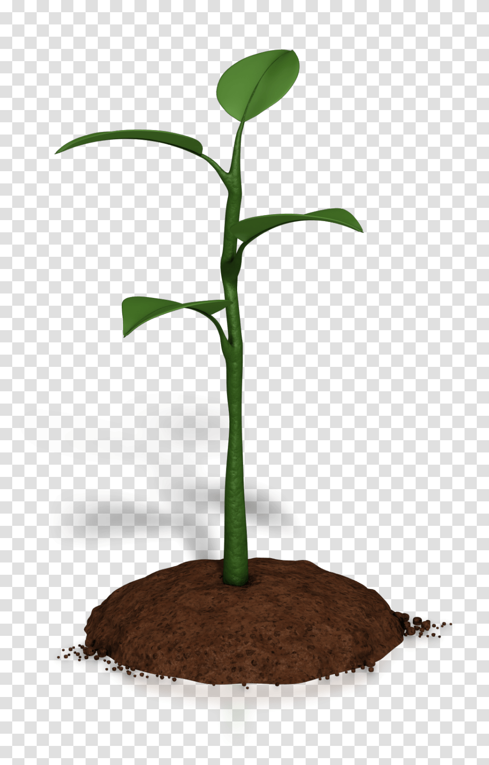Soil Clipart Plant Growth, Vegetable, Food, Bird, Animal Transparent Png
