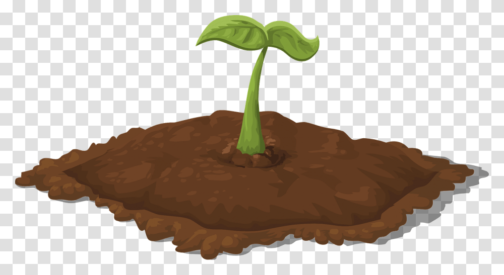 Soil Clipart, Plant, Root, Tree, Sprout Transparent Png