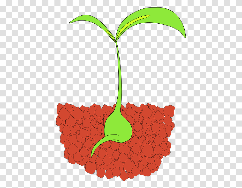 Soil Clipart Tanaman, Plant, Food, Bird Transparent Png