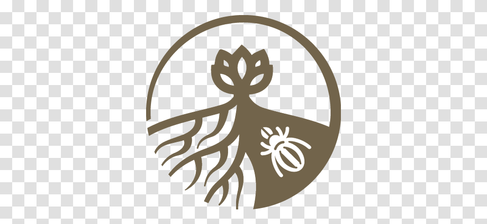 Soil Ecology Society Spider, Plant, Animal, Seed, Grain Transparent Png
