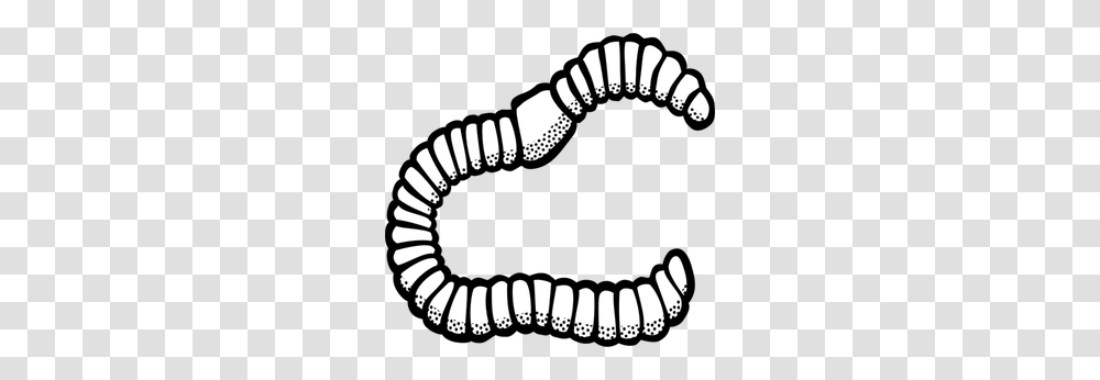 Soil Free Clipart, Animal, Mammal, Mustache, Sea Life Transparent Png