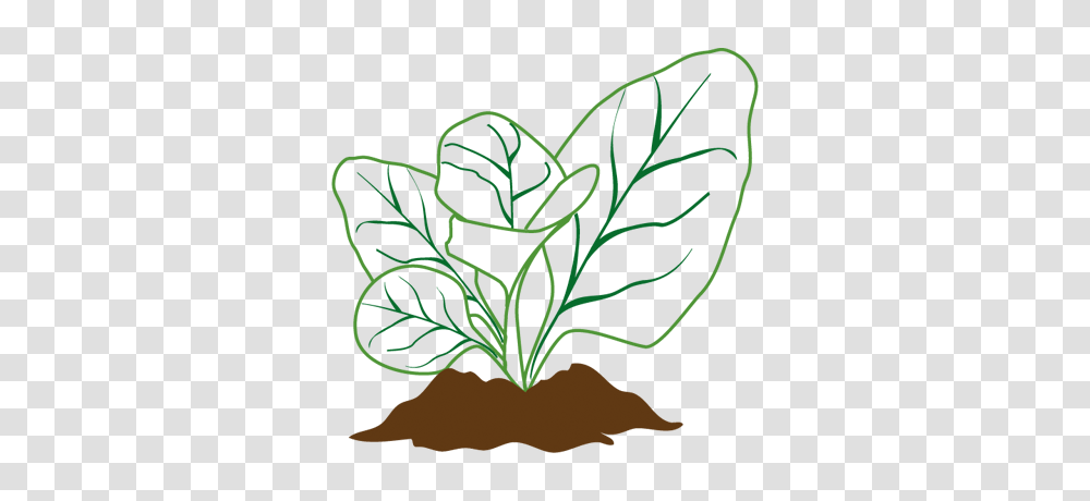 Soil, Green, Painting, Plant Transparent Png