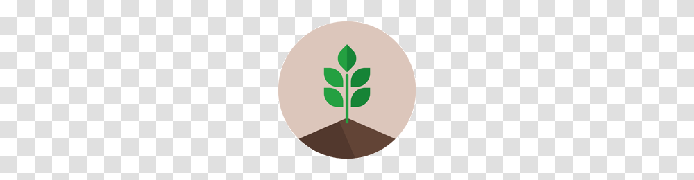 Soil Icon, Plant, Vegetable, Food, Tennis Ball Transparent Png
