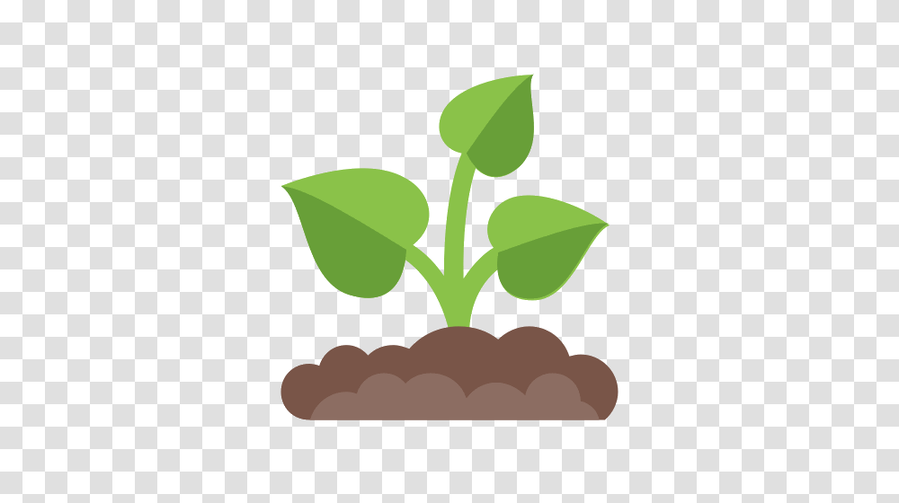 Soil Icons, Plant, Leaf, Food, Vegetable Transparent Png