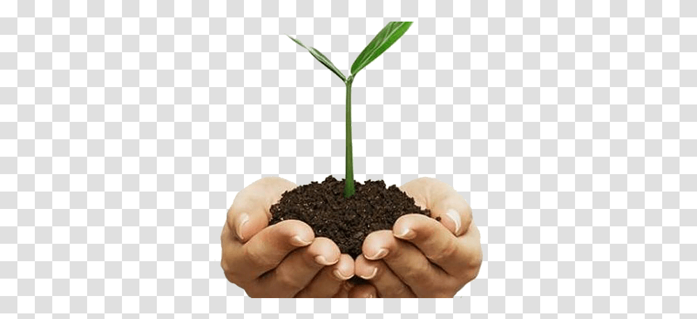 Soil In Hands Yulia Tymoshenko, Plant, Sprout, Bud, Flower Transparent Png