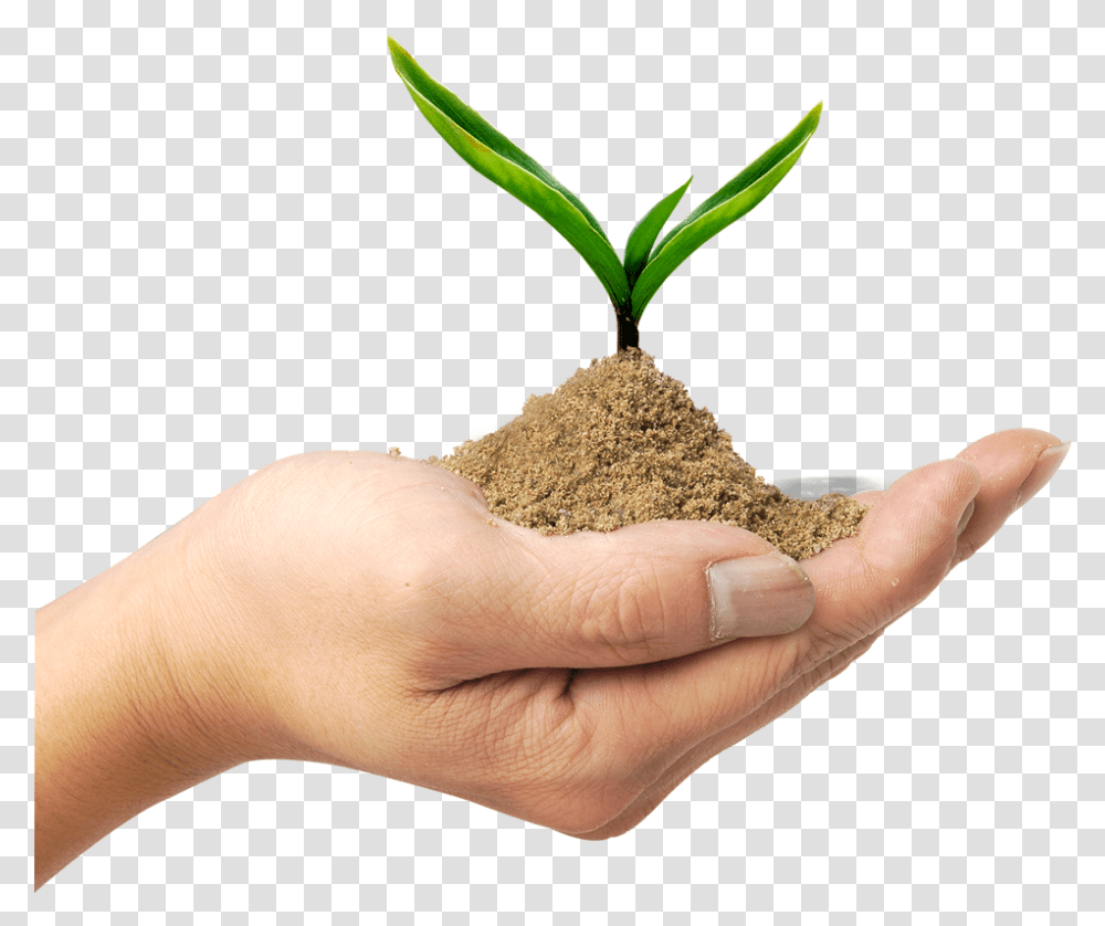 Soil In Kerala, Person, Human, Outdoors, Sand Transparent Png