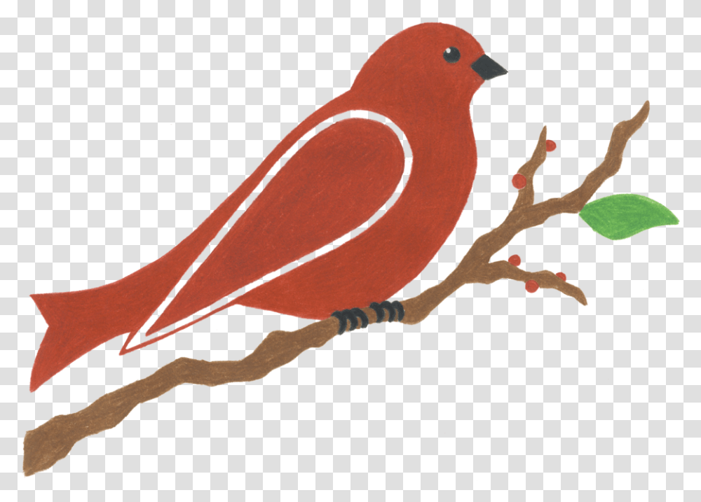 Soil Is Life - Red Bird Landscapes & Edible Gardens Scarlet Tanager, Animal, Finch, Partridge, Pigeon Transparent Png
