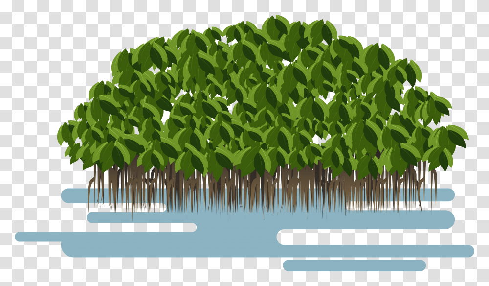 Soil Layers Clipart Mangrove, Plant, Bush, Vegetation, Root Transparent Png