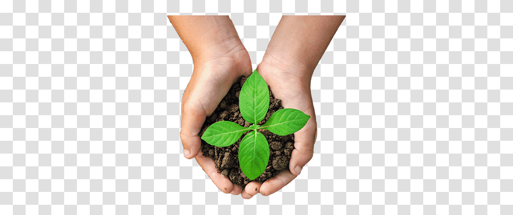 Soil, Nature, Leaf, Plant, Person Transparent Png