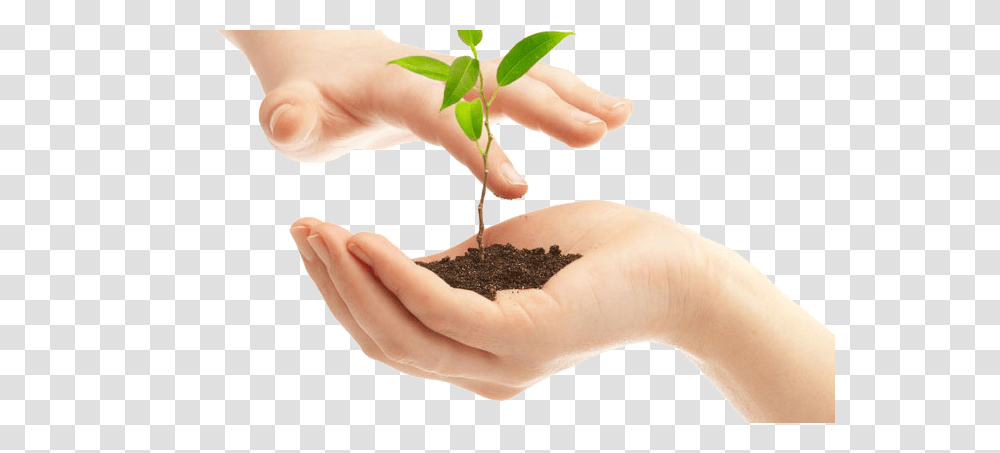 Soil, Nature, Person, Human, Hand Transparent Png