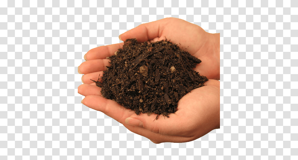 Soil, Nature, Person, Human, Plant Transparent Png