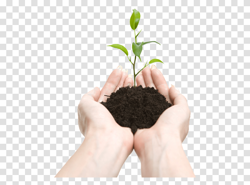 Soil, Nature, Person, Human, Plant Transparent Png