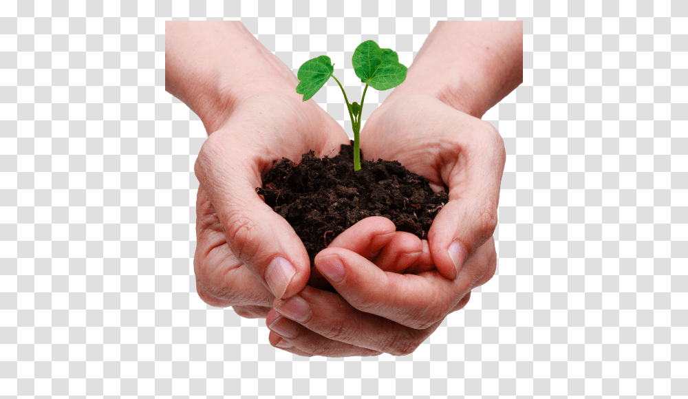 Soil, Nature, Person, Human, Plant Transparent Png