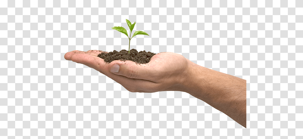 Soil, Nature, Person, Human, Plant Transparent Png