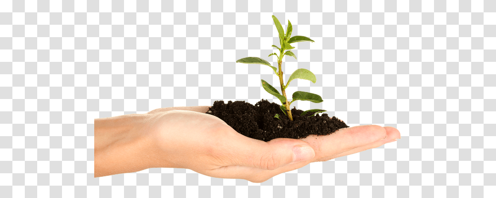 Soil, Nature, Plant, Person, Human Transparent Png