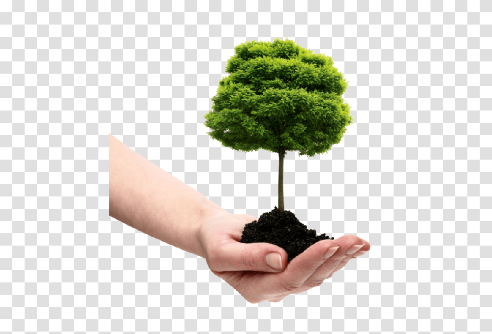 Soil, Nature, Plant, Person, Human Transparent Png