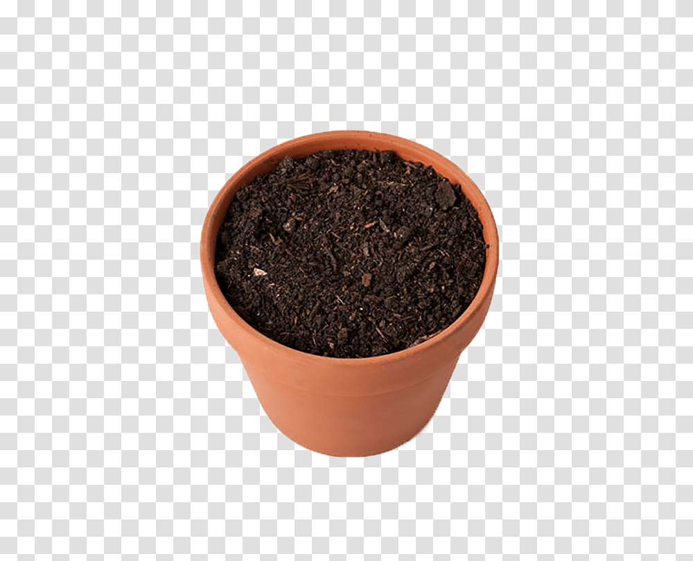 Soil, Nature, Plant, Pot, Tabletop Transparent Png