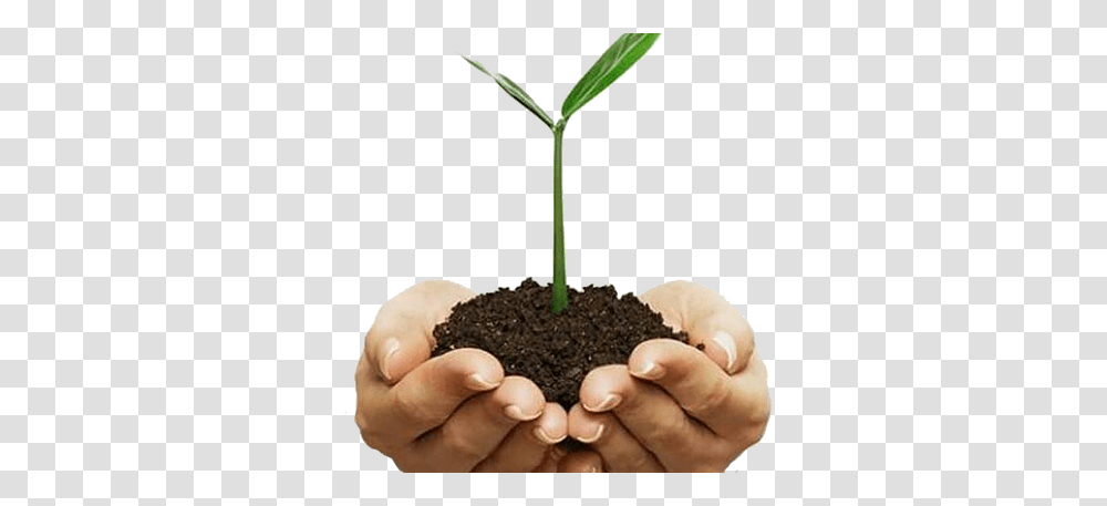 Soil, Nature, Plant, Sprout, Person Transparent Png