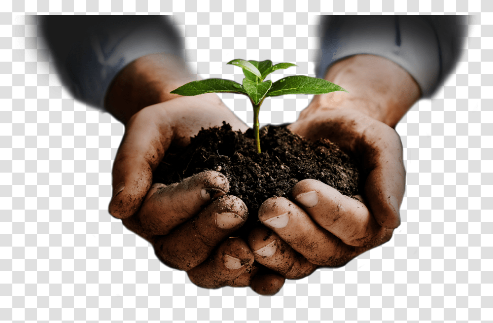 Soil, Nature, Planting, Outdoors, Fungus Transparent Png