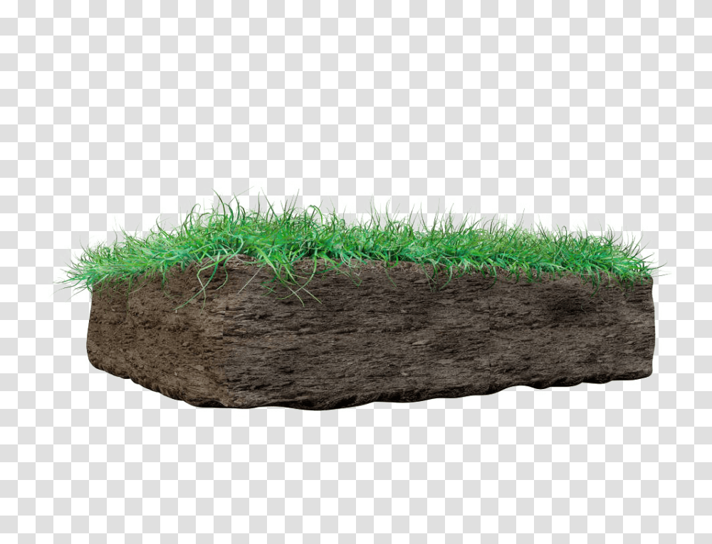 Soil, Nature, Rug, Grass, Plant Transparent Png