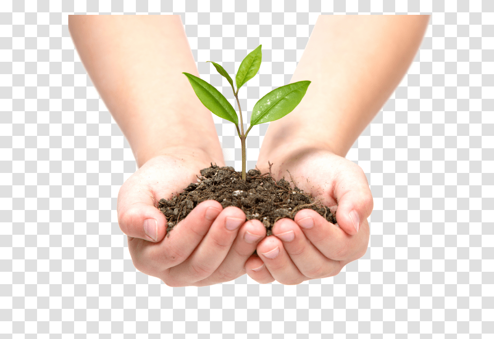 Soil, Nature Transparent Png