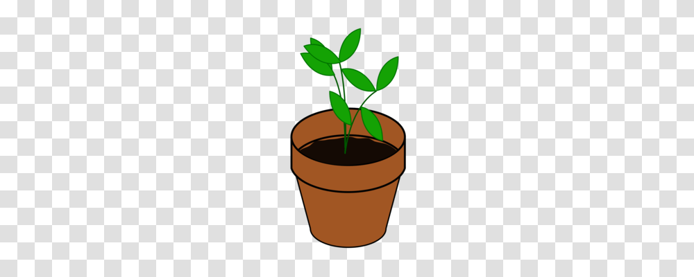 Soil, Plant, Pot, Milk, Beverage Transparent Png