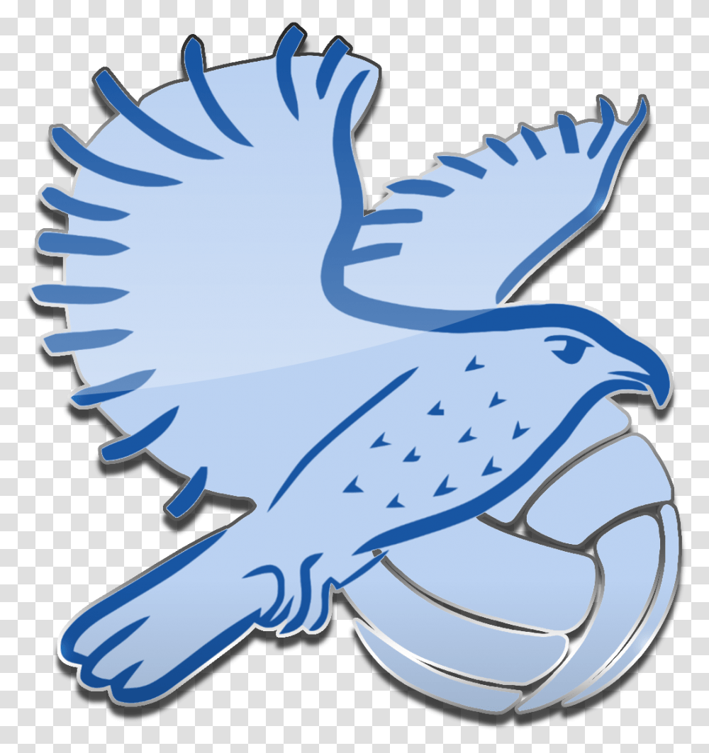 Sokol Volleyball Sokol Volleyball Logo, Jay, Bird, Animal, Blue Jay Transparent Png