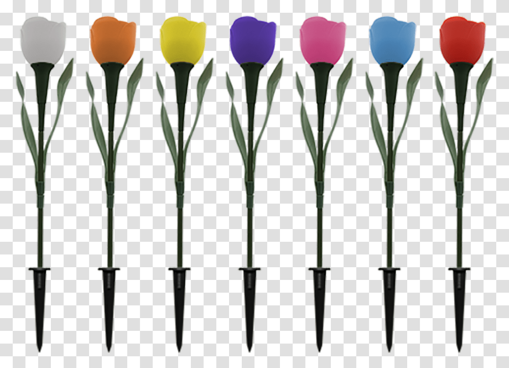 Solar Tulip Flower Light Solar Tulip Flower Light, Lamp Post, Plant, Blossom, Lighting Transparent Png