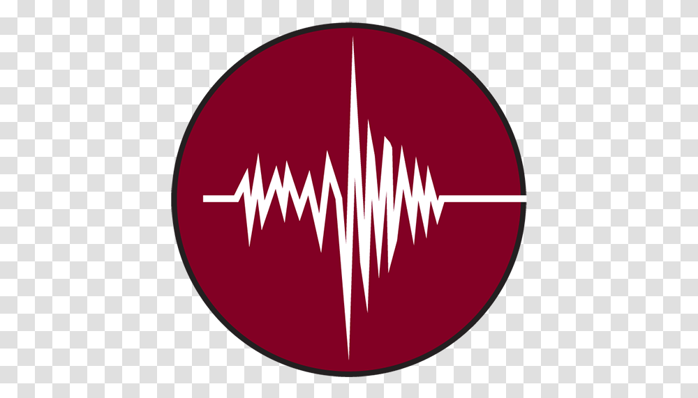 Soldano Reverb Osonic 50watt Two Channel Clean And Crunch Microphone Recording Studio Logo, Symbol, Trademark, Arrow Transparent Png