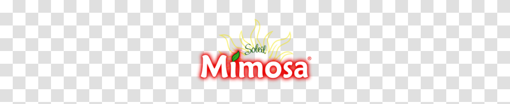 Soleil Mimosa, Plant, Vegetation Transparent Png