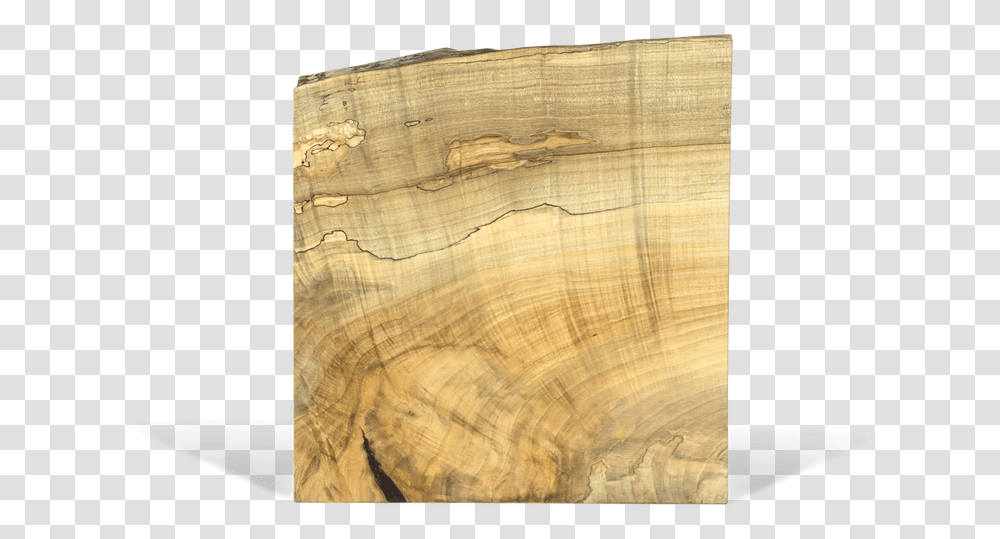 Solid Maple Live Edge Cutting Board Plywood, Rock, Tree, Plant, Tabletop Transparent Png